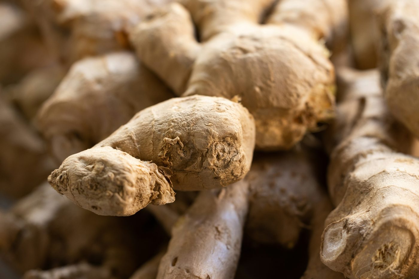 Fresh turmeric and ginger rhizomes