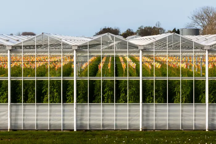 A glass greenhouse in a field
